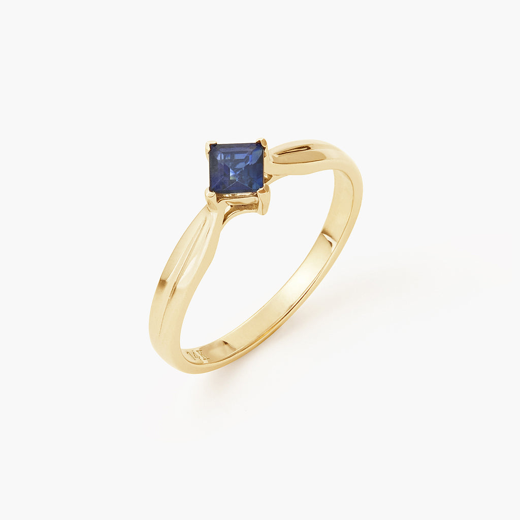 Princess Cut Sapphire Engagement Ring Setting
