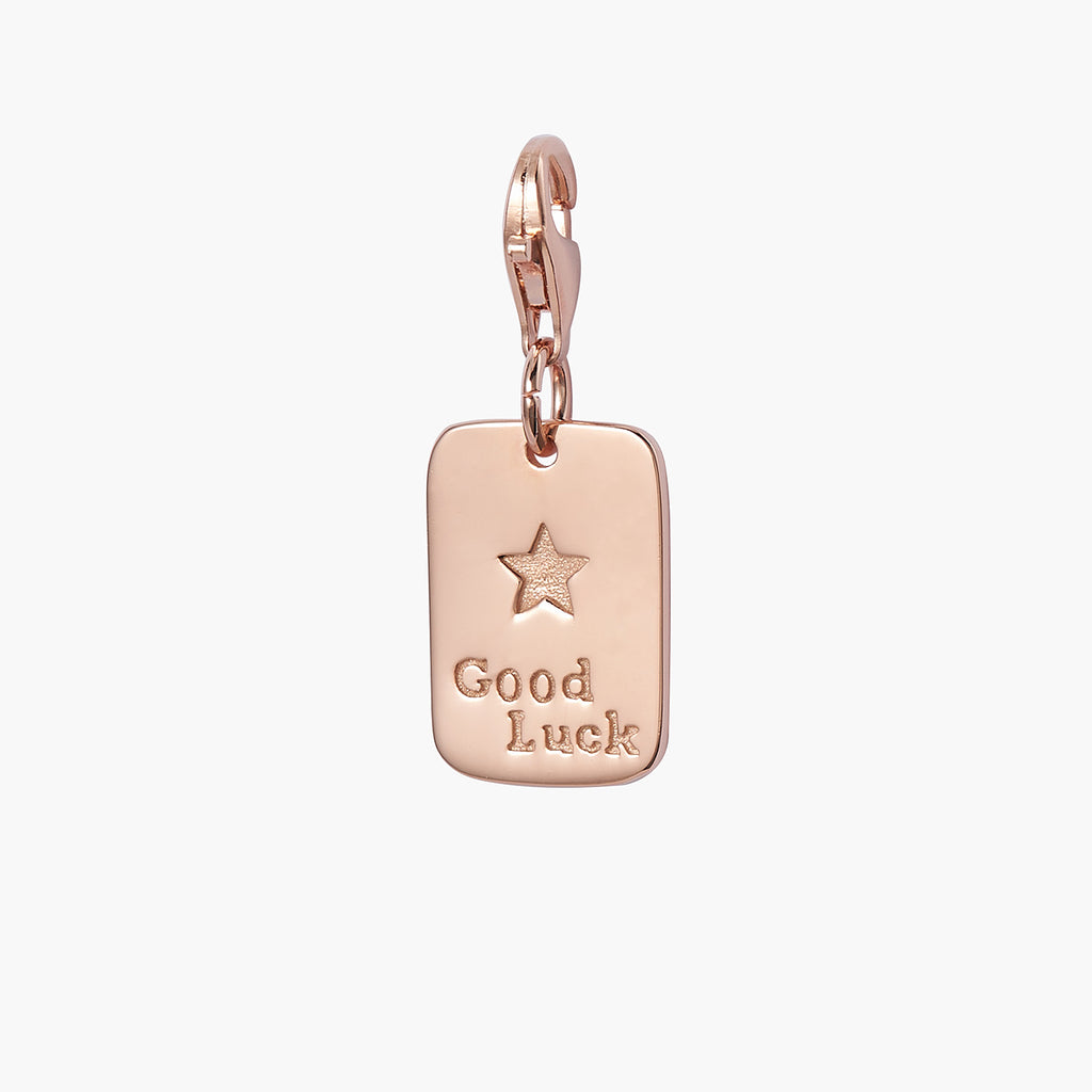 Good Luck Charm Pendant