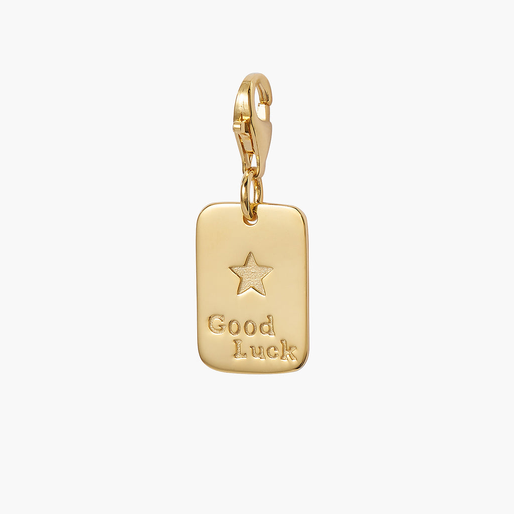 Good Luck Charm Pendant